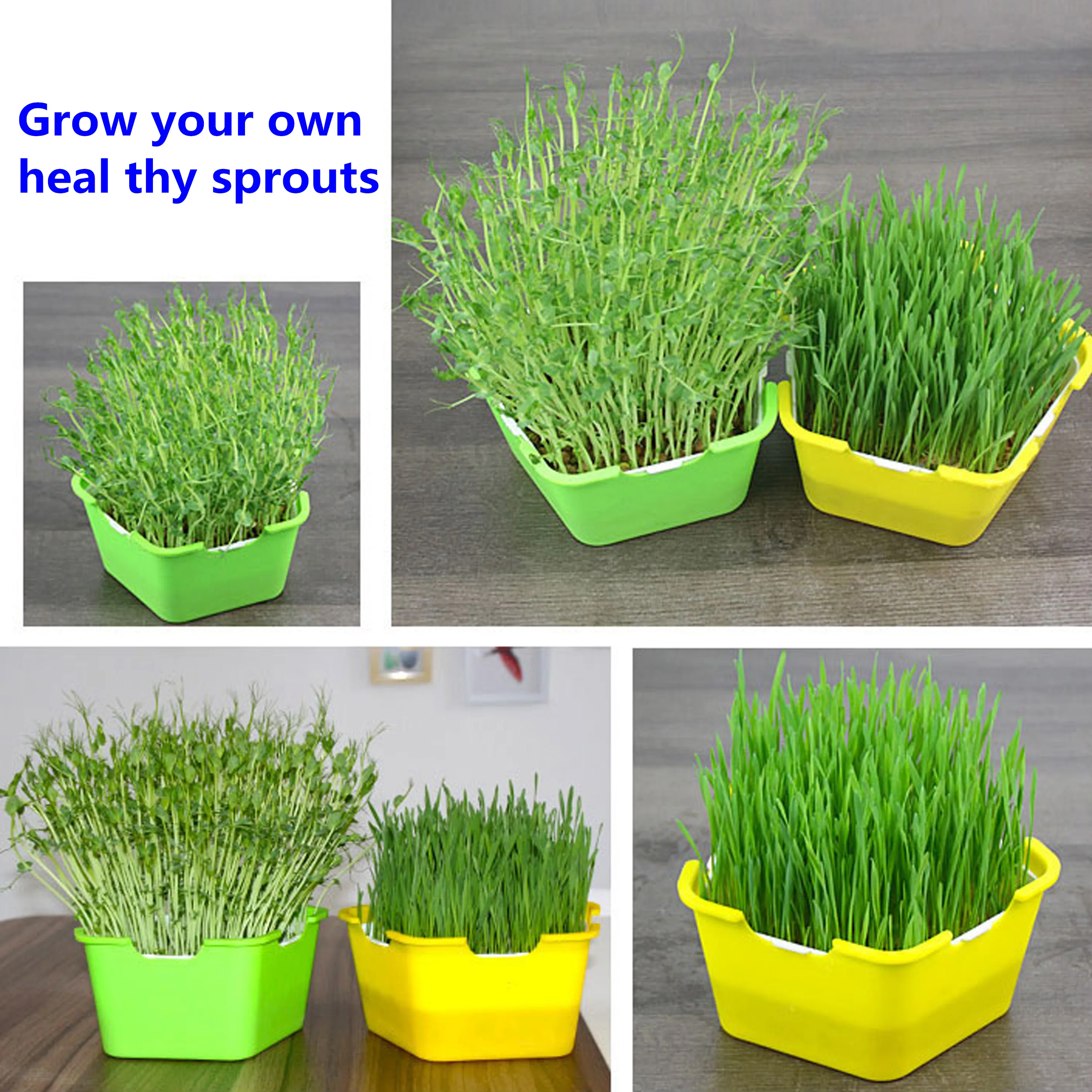 Bean Sprouts Growing Tray Seed Seedling Starter Dish Greenhouse Hydroponics Plant Cat Grass Germination Nursery Pot Grow Box seed starter tray seedling tray sprout growing kit
