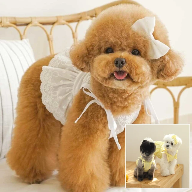 Dog Wedding Dress Costume