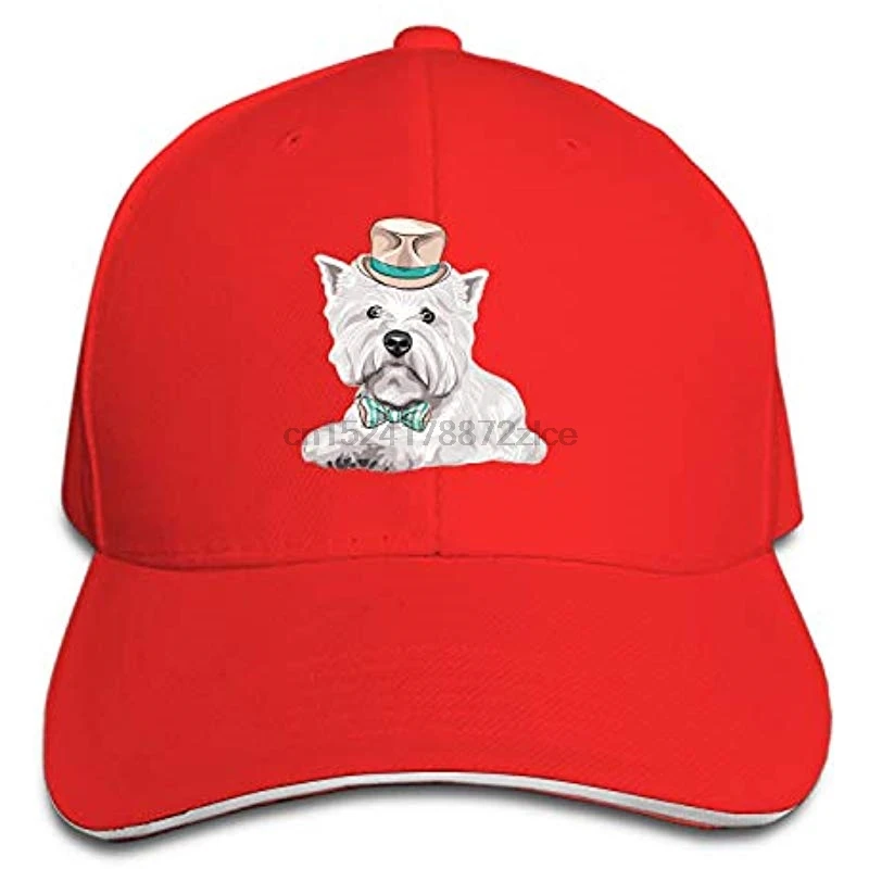Маленький самолет Snapback Кепка с плоским Биллом шляпы регулируемый простой пустой Кепка s для мужчин и женщин