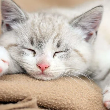 

test-dongtai-nopromotion