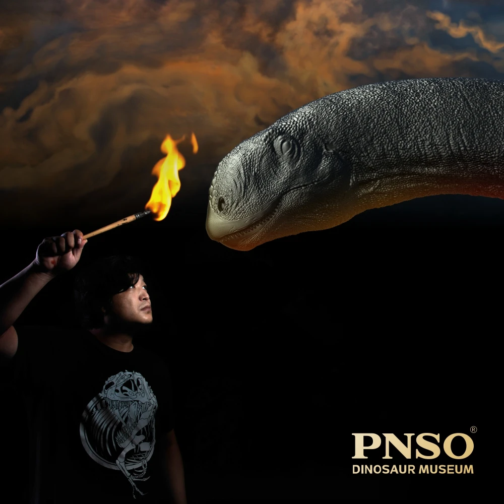 Er-ma o Mamenchisaurus Modelos de Arte Pnso Dinossauro Museus Série Novo 1:45 Científica 12 High Quality Brinquedos e hobbies