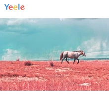 Horse running against blue sky and white clouds Picture Wall Art Landscape Canvas Painting Nature Scenery Poster and Prints