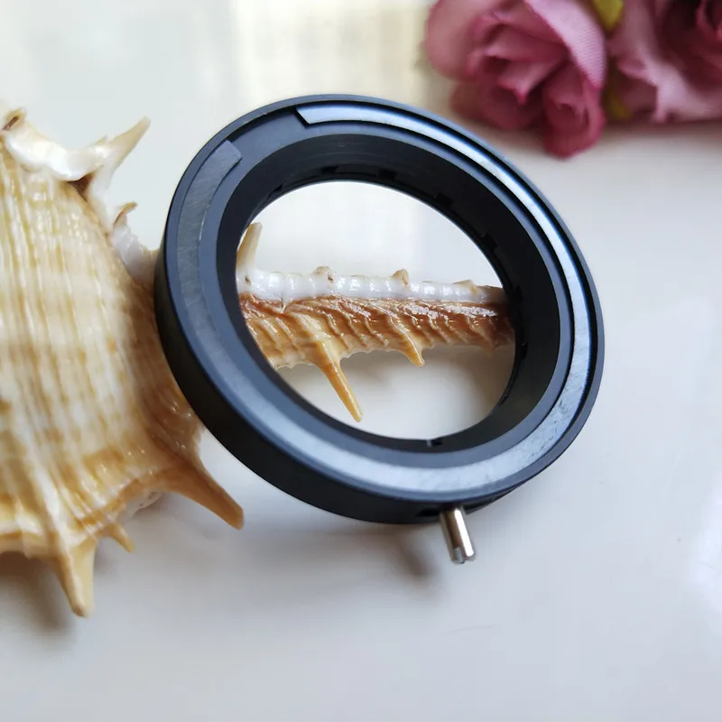 IMG_20180719_180956_