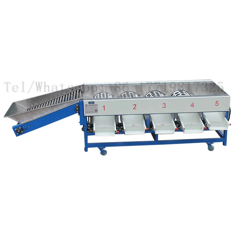 OEM 4 10 Grades Fruit Vegetable Sorting Machine Orange Apple Size