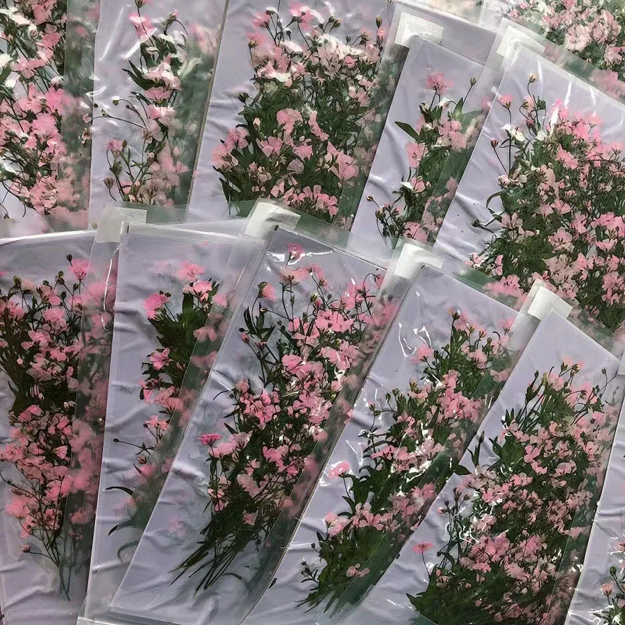 

250pcs Pressed Dried Pink Gypsophila Paniculata Linn Flower With Stalk Plant Herbarium For Jewelry Postcard Invitation Card DIY