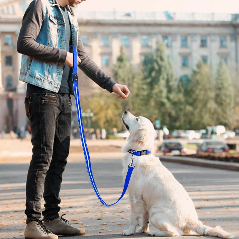 MASBRILL LED Dog Leash USB Rechargeable Flashing Light Water Resistant Lightweight Nylon Mesh Soft Padded Walking Training Dog Collars comfotable