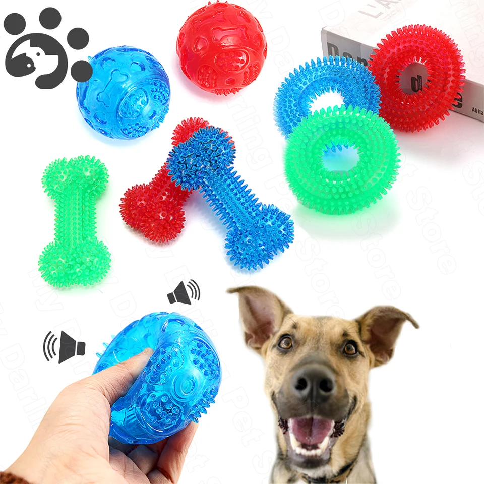 Squeaky Dog Toy