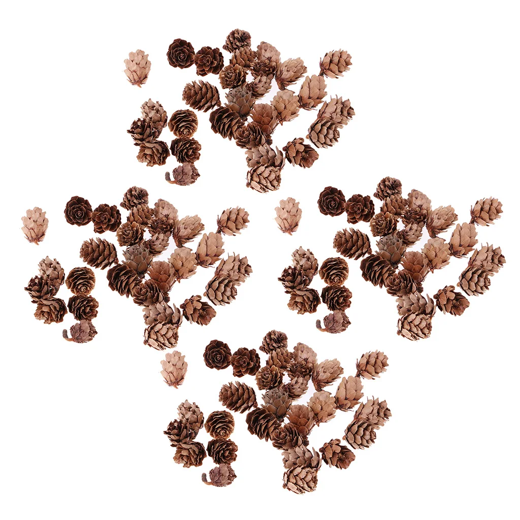 120pcs Mini Real Natural Pine Cones for Home Garden Decoration DIY Garland