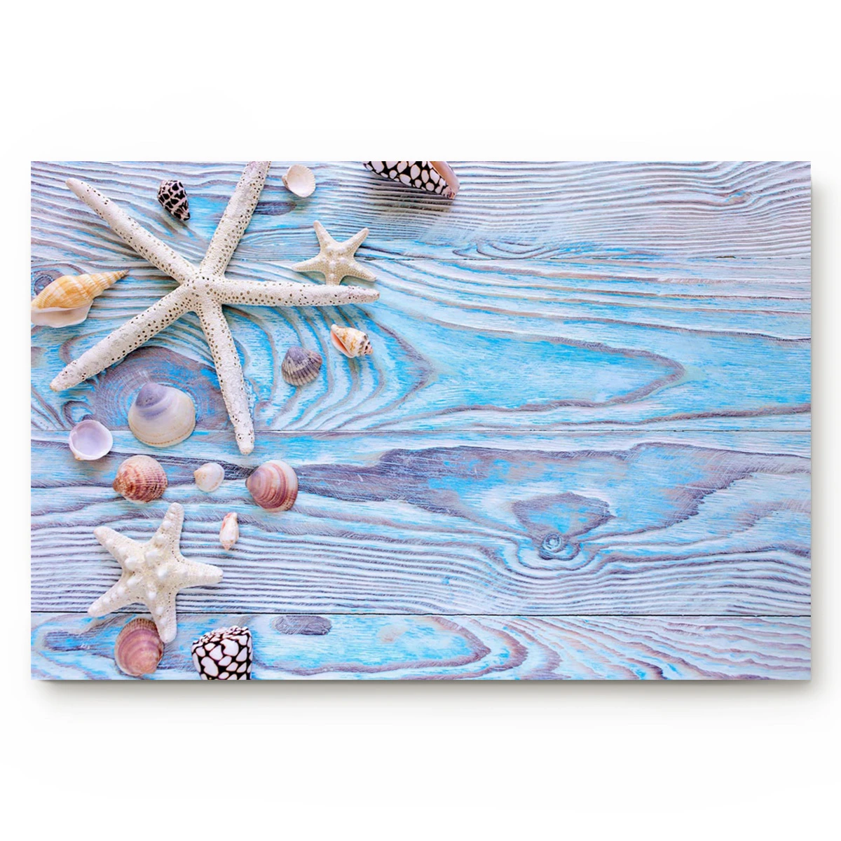 Shells Summer Plank Wooden Blue Beach Bath Rugs Non Slip Doormat