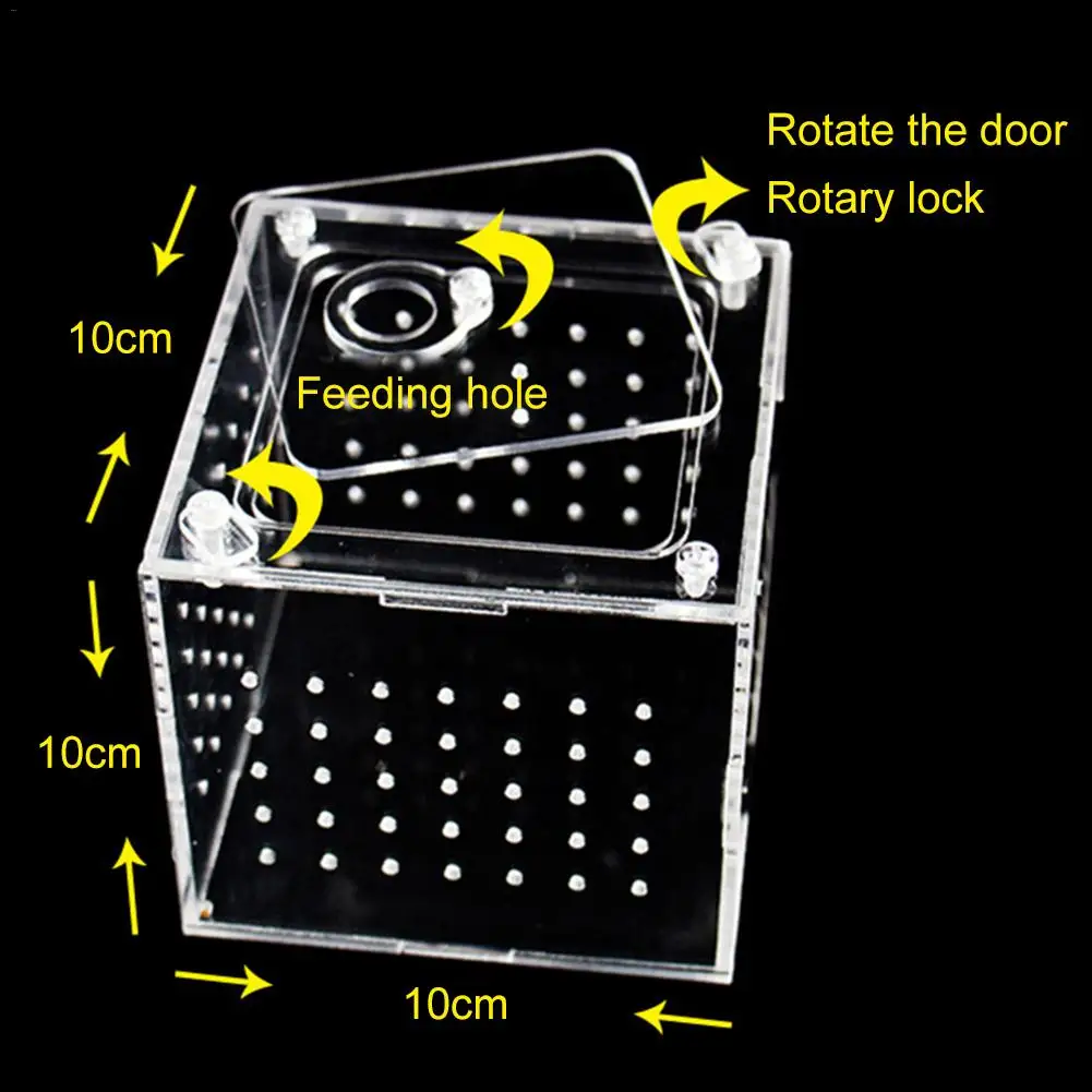 

Transparent Reptile Breeding Box Acrylic Pet Feeding Boxes Breeding Spiders Scorpions Mantis Insect Lizard Spider Breeding Cage