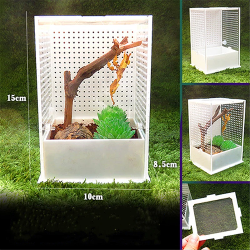 Mantis кормления чехол насекомых разведение коробка прозрачный для разведения