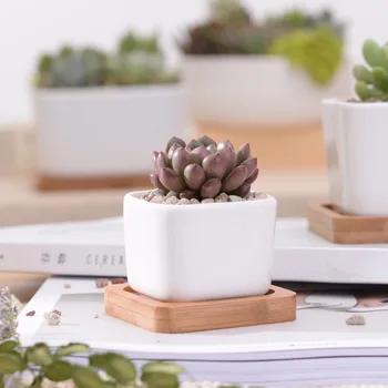 

2 PCS Geometic White Ceramic Square Bonsai Planter Little Succulent Flower Pots Modern Small Cactus Flowerpot Bamboo Tray ZM807