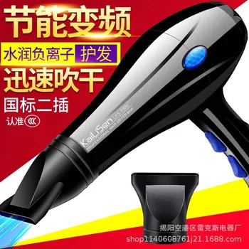 

Ultra Large Power Household Electric Blowing Wind Dormitory Mute Constant Temperature Blowing Wind Machine Hair Salon Hair Dress