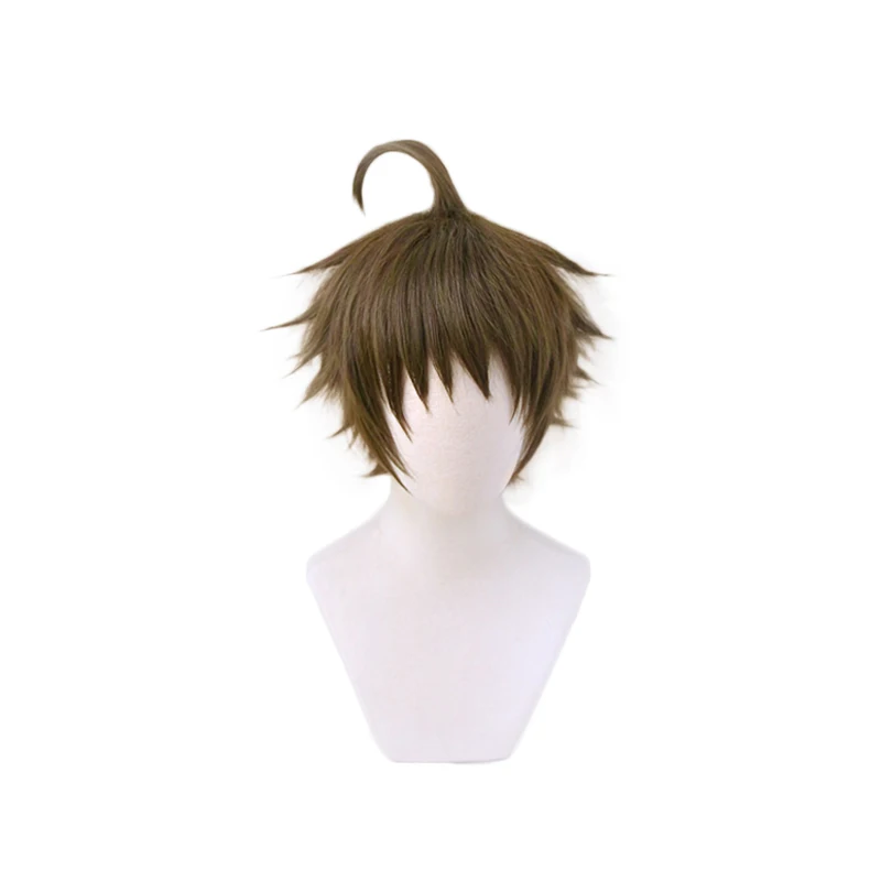 Alsocool Anime Danganronpa Hinata Hajime Short Wig Cosplay Costume Dangan Ronpa Heat Resistant Synthetic Hair Men Wigs -Zentai shop online Hed1df878adf945308e6b31c40946e920q.jpg
