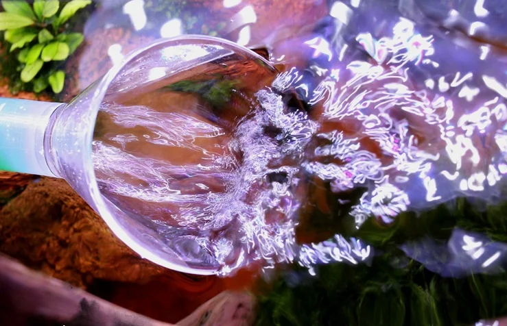 HTB1FxCIa7L0gK0jSZFxq6xWHVXaN