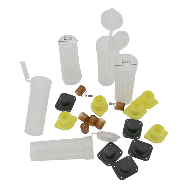 1 Királynő Tenyésztési Queen Cage King Platform Védő Borító Méhészeti Edények Exportált Méheszközök - Image 3