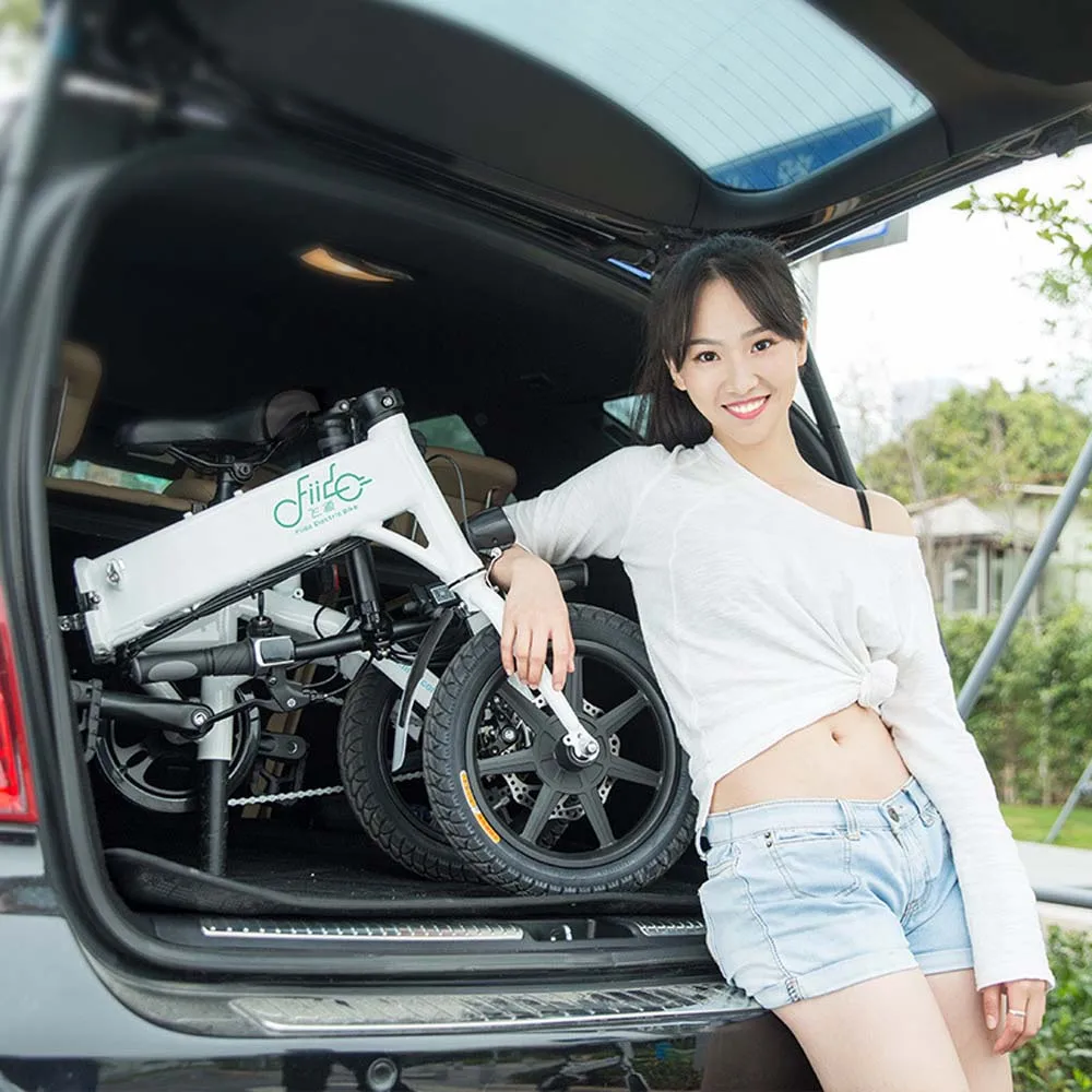 

D1 ebike scooter foldable