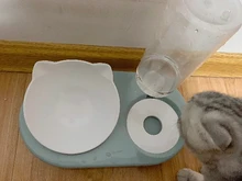 Food-Bowl Raised-Stand Pet-Cat-Bowl Water-Fountain Automatic-Feeder Drinking For Cats