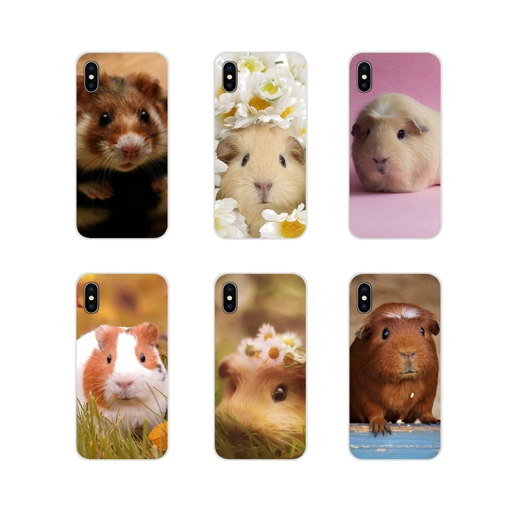 For Samsung Galaxy J1 J2 J3 J4 J5 J6 J7 J8 Plus 2018 Prime 2015 2016 2017 Accessories Phone Cases Covers Cute Baby Guinea pig | Мобильные