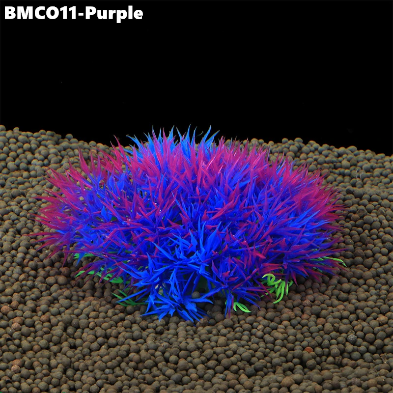 BMCO11 (5)