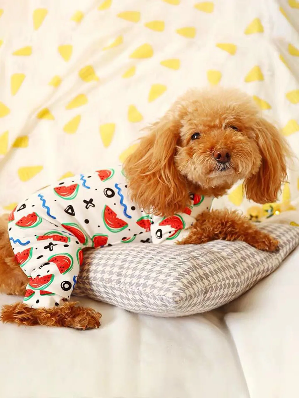 Новинка; Одежда для собак с принтом фруктов; комбинезон с рисунком арбуза; собаки; кошки; удобная летняя одежда для домашних животных в моделях; Повседневный стиль