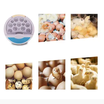 

Automatic Breeding Machine 9 Eggs Brooding Machine PC Field Breeding Machine Incubator Chicken Duck Poultry