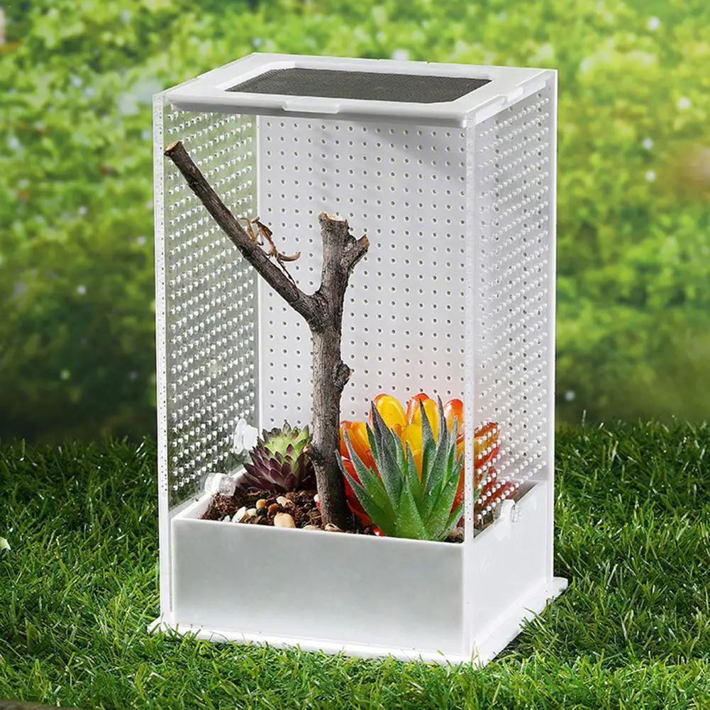 AUGKUN Mantis акриловая миска для кормления малышей коробка разведения насекомых