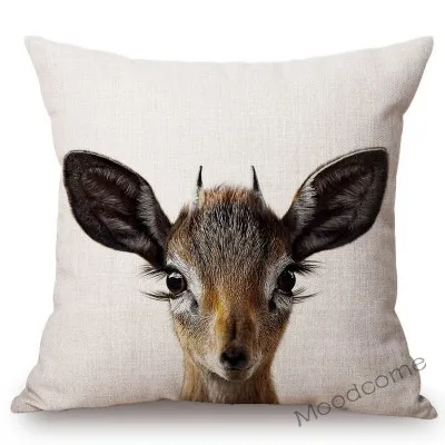 conew_t215 (23) 副本