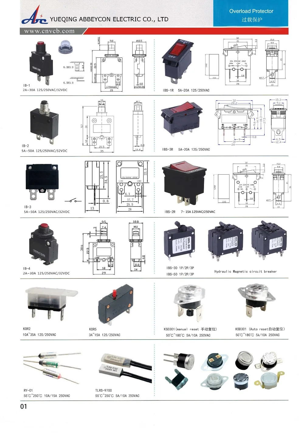 23-Abbeycon  Overload protecter E-cata