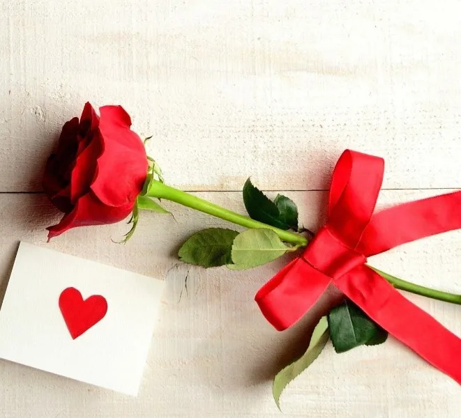 Влюбленные с ромашками. Собрал цветы любви. Розы в сердце. Цветок символ любви. Парень и девушка в ромашках.