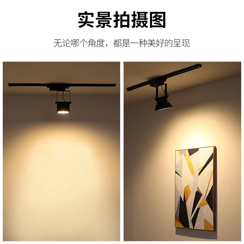 VISDANFO Spot Rail Spotlights 30w focus led track light cob aisilan black white rail lights fixtures