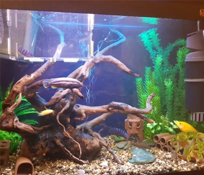 1 шт. декоративное растение для аквариума 20 42 см|plastic water plants|aquarium ornamentsfish tank aquarium |