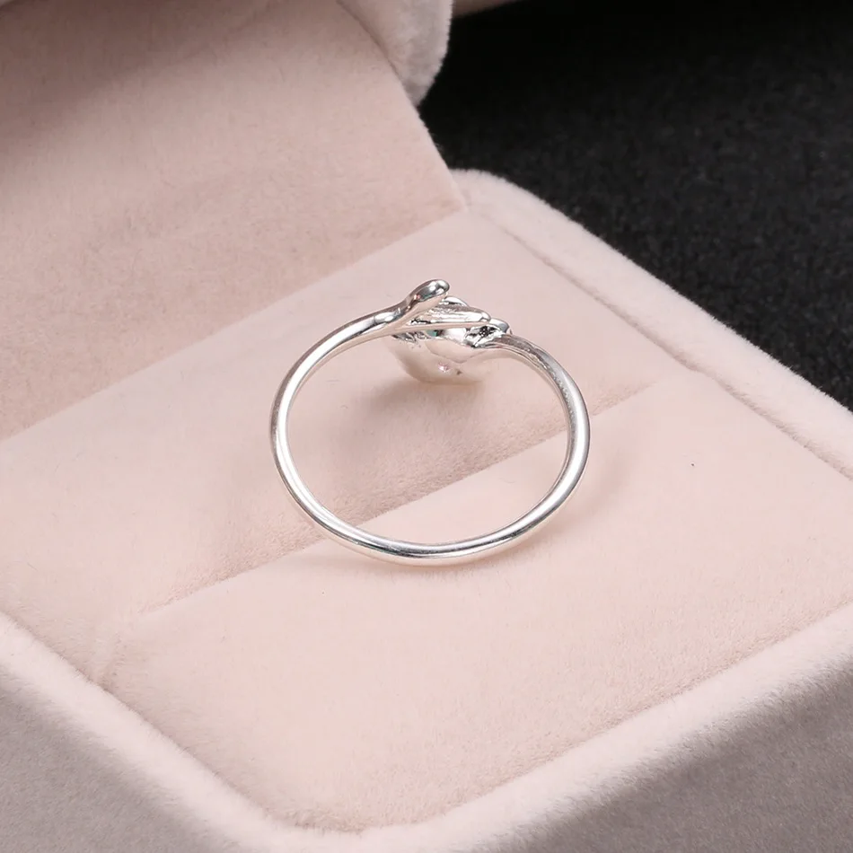 10257196911_1289529005