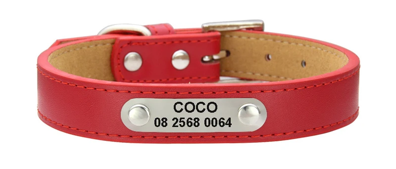 leather dog collar-
