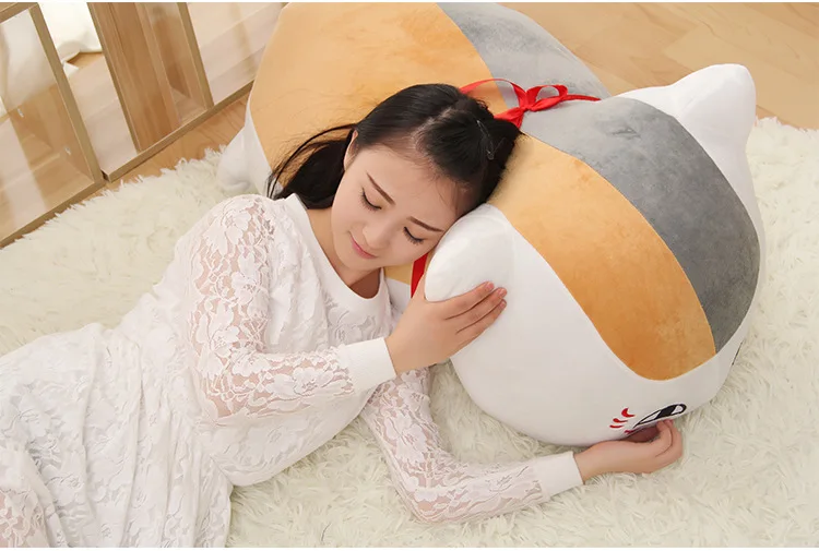 Подушка Natsume Friends, подушка для кошки, учительницы, Mr Cat, подушка Niang, ртом, три аниме, периферийная подушка, поясничная подушка