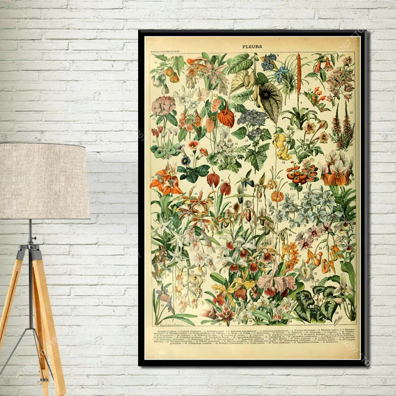 G034 Art Decor Botanical Vegetable Fruit Illustration Vintage Chart Science Wall Art Canvas Painting Silk Poster - Цвет: Picture 17