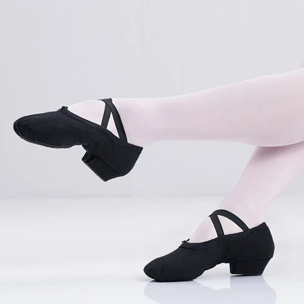 Профессиональная женская парусиновая балетная танцевальная обувь Танцевальная балетная обувь для учительницы - Цвет: Black