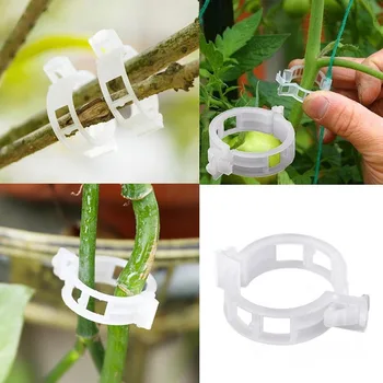 

100PC Plastic Trellis Tomato Clips Supports Connects Plants Vines Trellis Twine Cages Greenhouse Veggie Garden Plant Clip