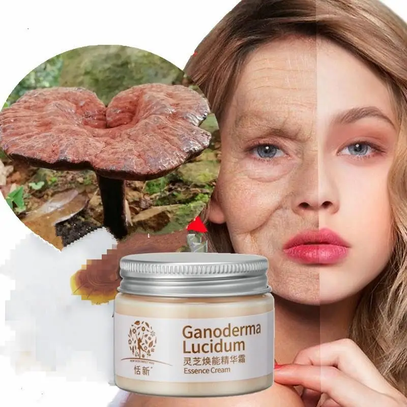 

Natural Herbal Extract Essence Ganoderma Lucidum Face Cream Repair Facial Skin Moisturizing