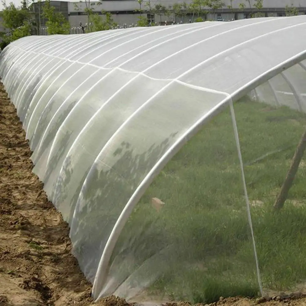 

Vegetable Netting Mesh Cloth Bird Insect Netting Poultry Plant Garden Crop Fruit Vegetable Protective Net Three Size