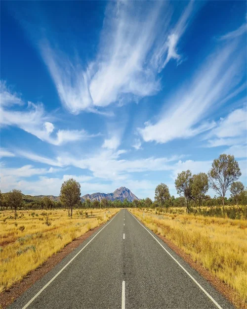 Cassisy Canvas Art Painting? Highway,prairie,sky?Poster Picture Wall Decor Modern Home Decoration Gift For Living room Office