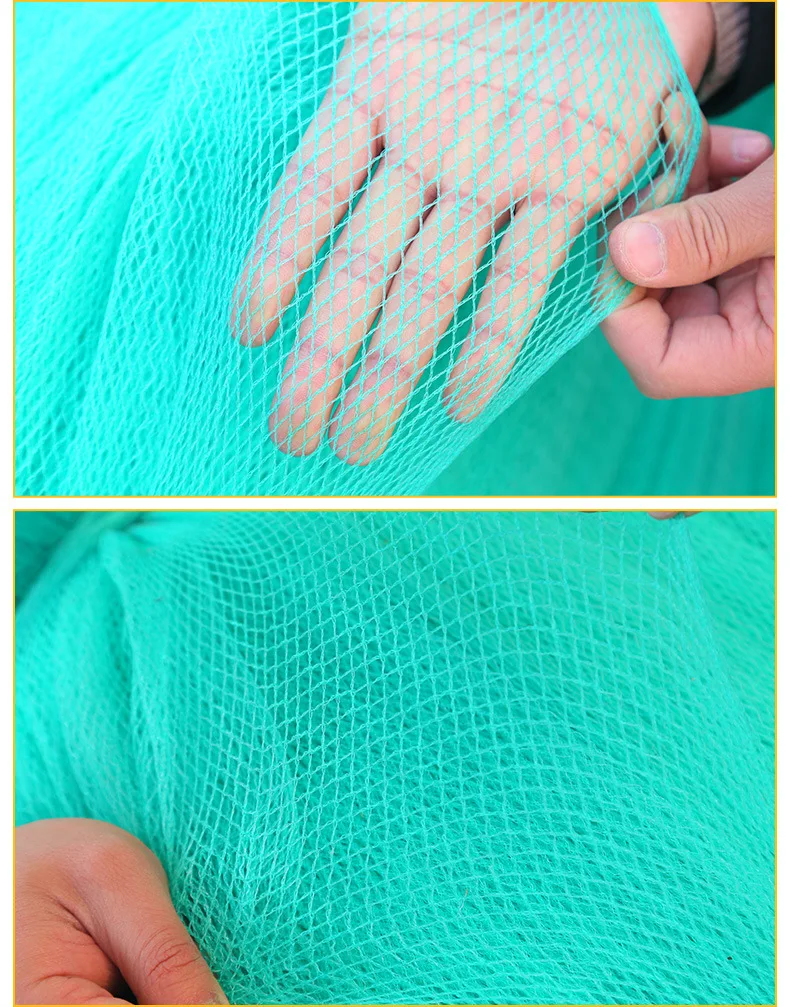 10695377478_205738195