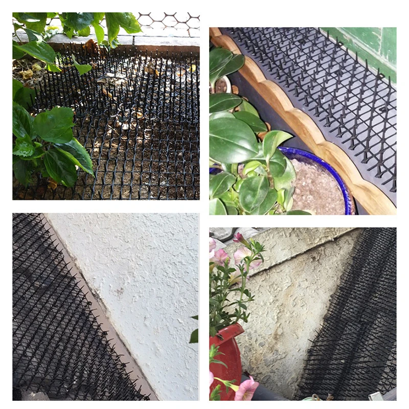 Filet De Protection Anti Chat En Plastique Tapis D Epine Pour Chat Protection Des Plantes De Jardin Filet De Protection Multifonction En Maille Jardin Filet Aliexpress