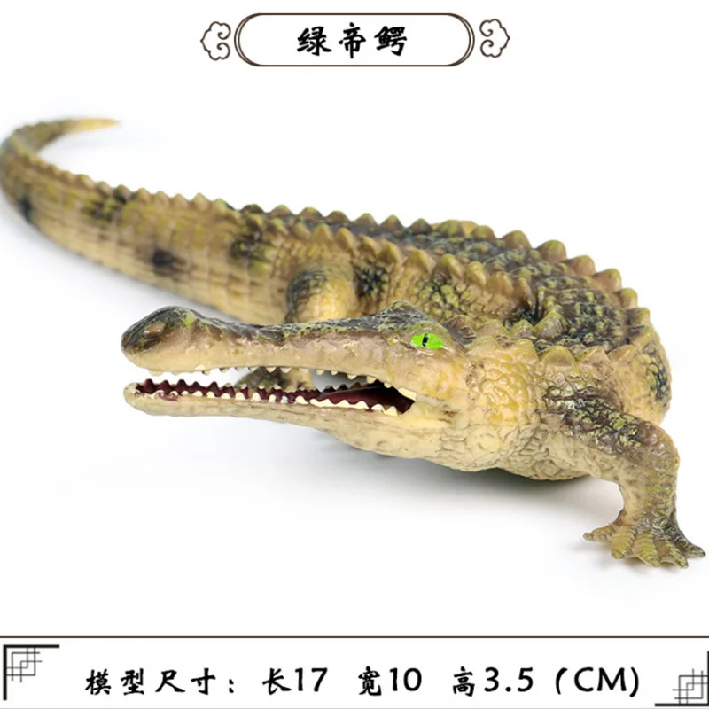 2  ùķ̼ 縣ڼڽ  ǱԾ,  峭, Ǿ ׼ ǱԾ,  öƽ øƮ 峭