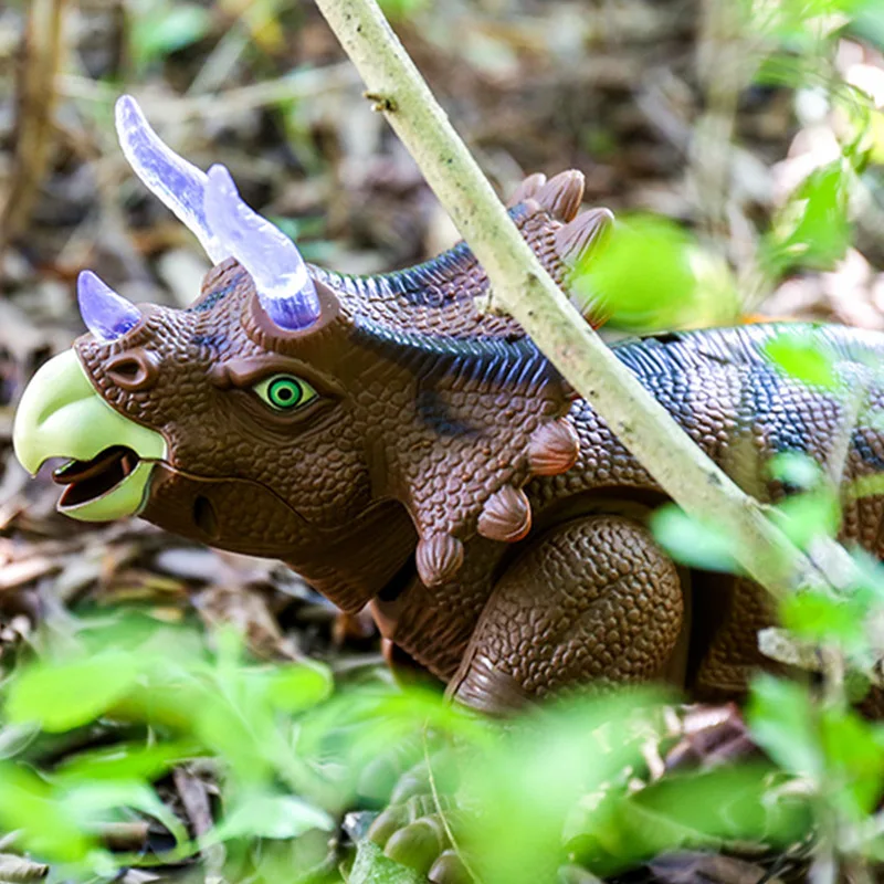 6666091792_201743743