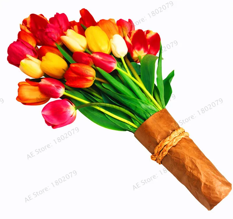 4 103 шт./пакет в форме тюльпана от flores Редкие бонсай растения, красивые тюльпаны в горшке, многолетнее на приусадебных участках, а также в форме тюльпана от завода - Цвет: 4