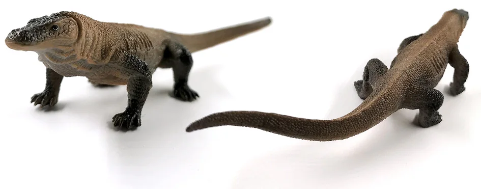 详情页-23款-黑冠猕猴-小树懒等_06