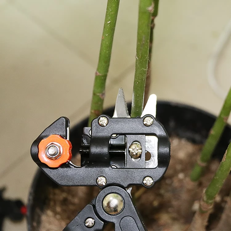 Black Box Garden Fruit Tree Pro Pruning Shears Scissor Grafting cutting Tool+2 Blade garden tools set pruner Tree Tool 571
