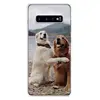 Mobile Phone Accessories