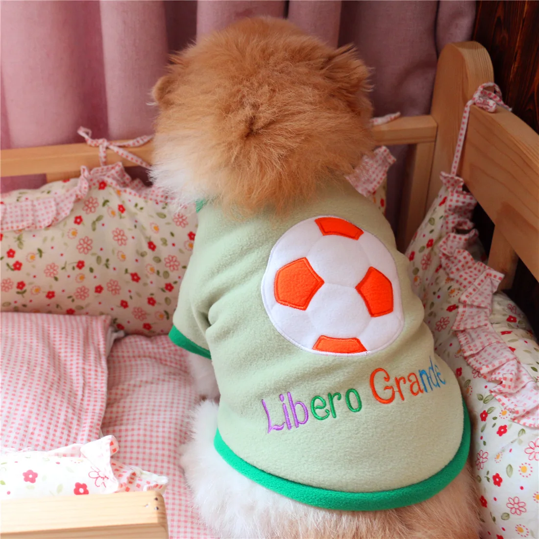 Unique Sweaters For Dogs - The Popular Clothes This Winter